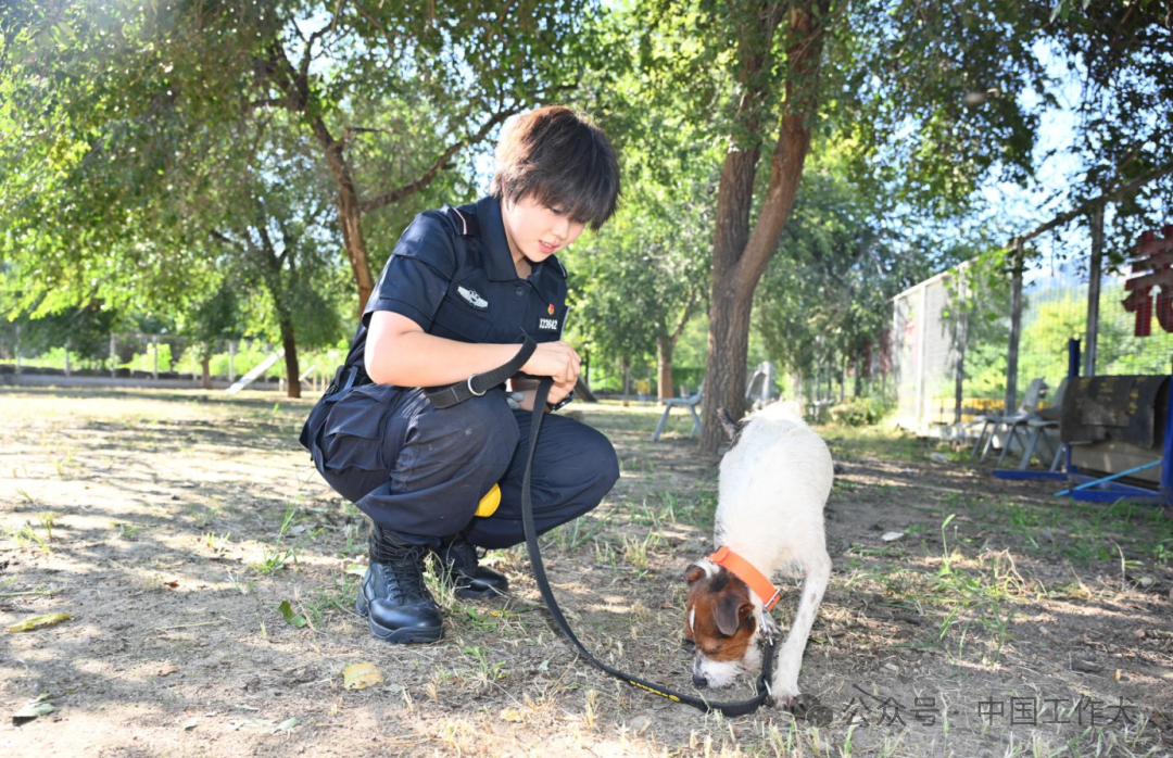 以犬为友 结对砺能｜北京警察学院学子与实训警犬开启实战化训练