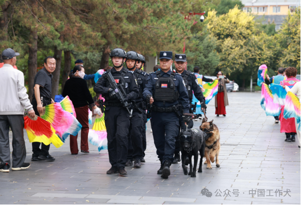 警犬随行、空地联动！呼和浩特公安中秋巡防守护游客安宁
