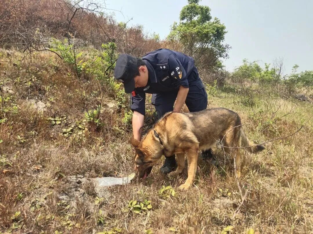 嗅迹追踪践使命｜黔西南警犬多点作战守护群众平安