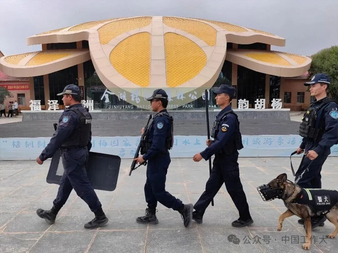 万家团圆夜，警犬守平安！泽普公安人犬搭档坚守岗位护佳节