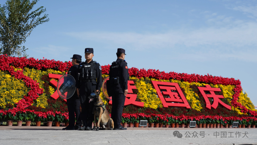 巡街巷、查隐患、护景区！无言战友全力护航国庆安保