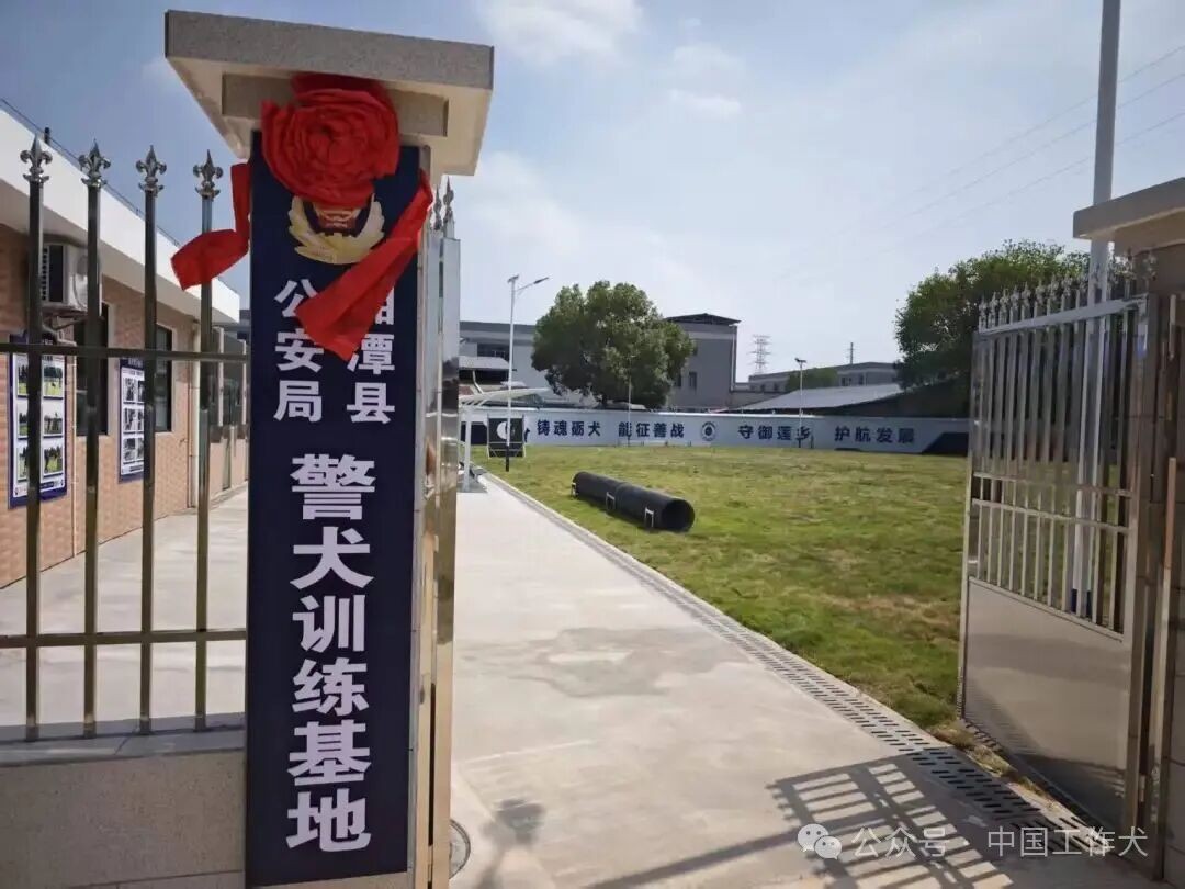 淬炼无声战友 筑牢平安防线 湘潭县公安警犬技术基地全新揭牌启航