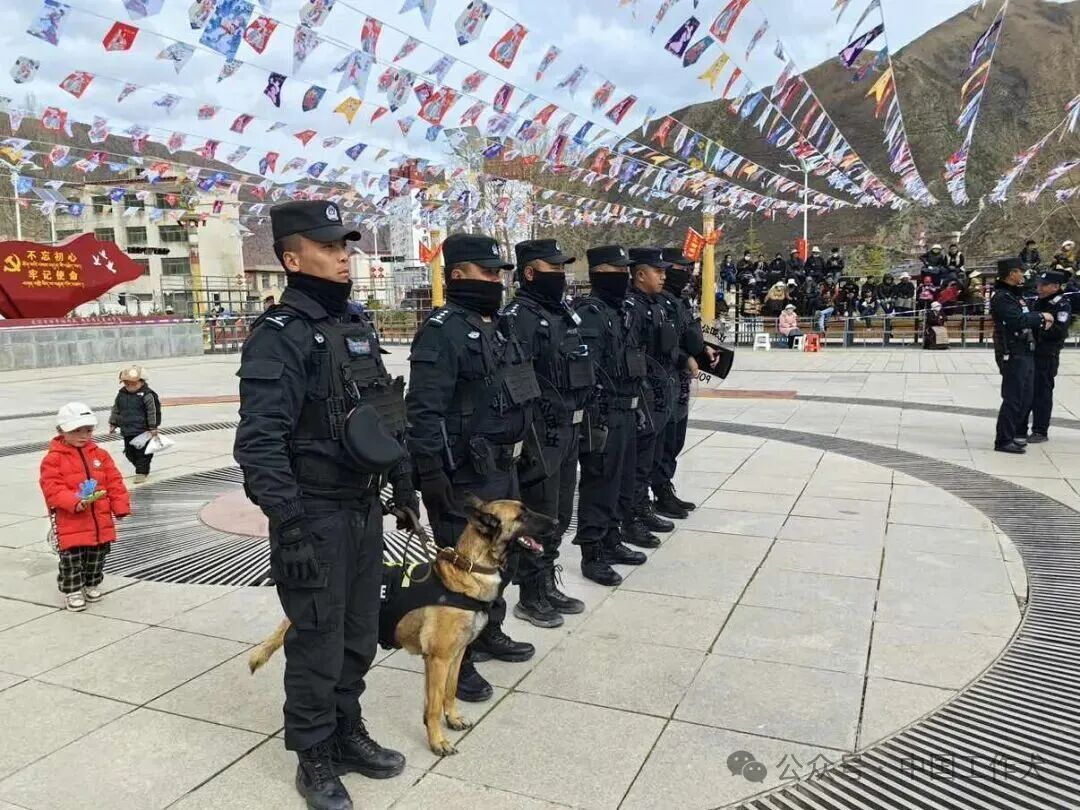 无言铸忠诚 铁血守藏北——比如县警犬技术中队深耕实战护航平安雪域