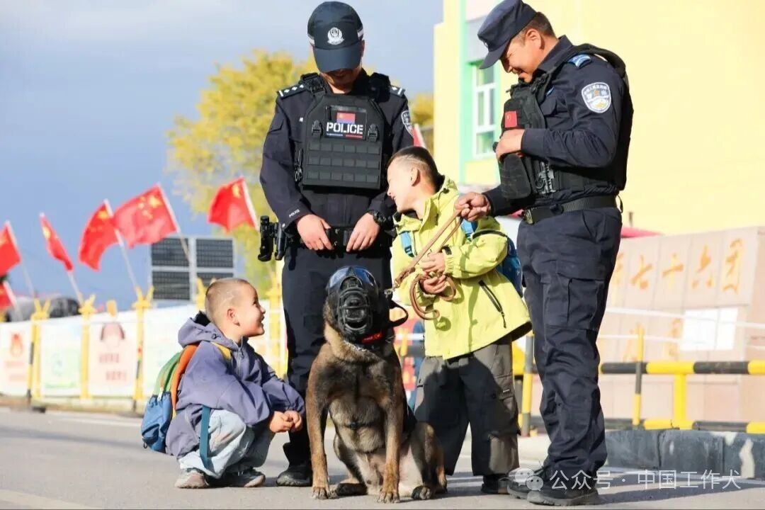警犬加入护学勤务 筑牢校园周边安全屏障