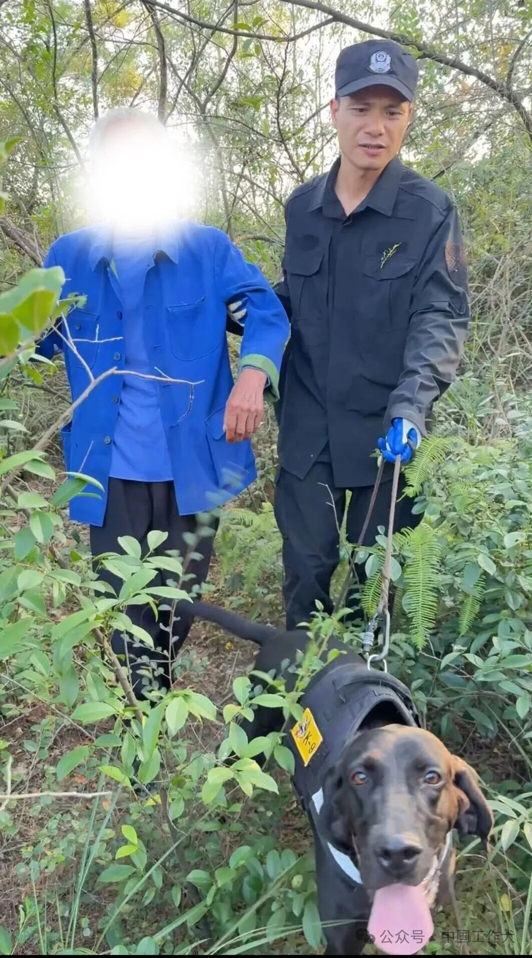 【为群众办实事】立大功！警犬“卡特”30分钟寻回山林走失九旬老人