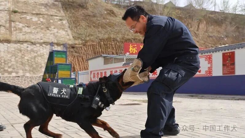 空中圈定地面追踪！西吉公安“警航 +警犬”协同守护山区群众